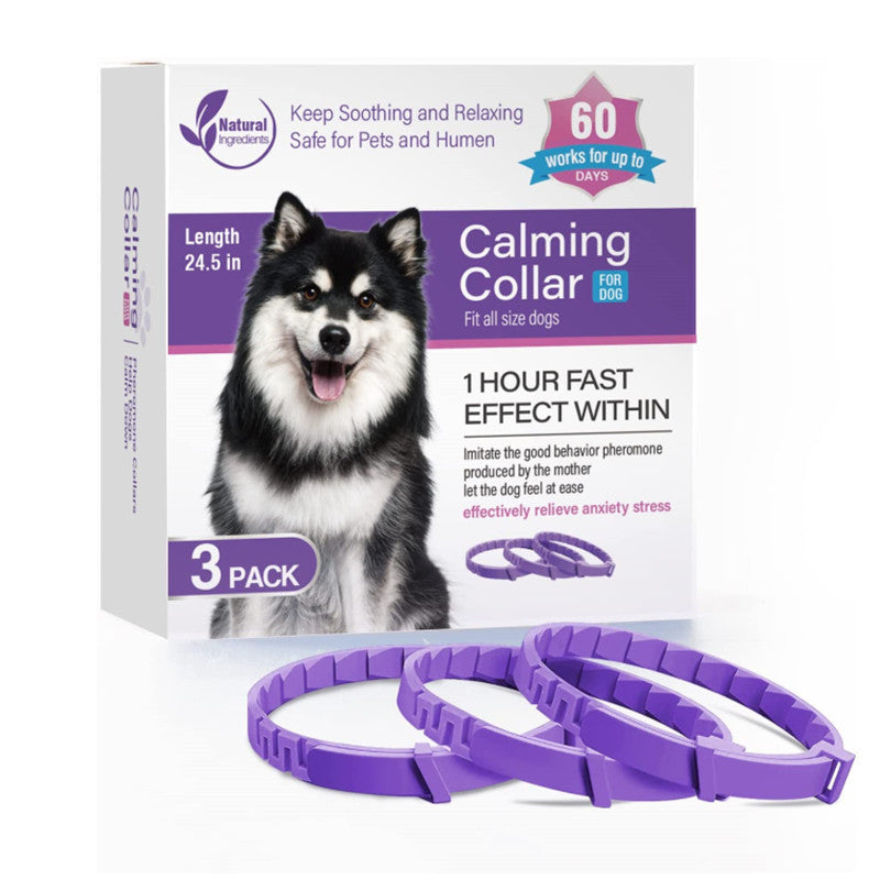Box of a calming collar for dogs with a purple collar on a white background