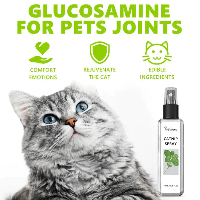 Cat with text 'Glucosamine for Pets Joints' and a bottle of catnip spray.
