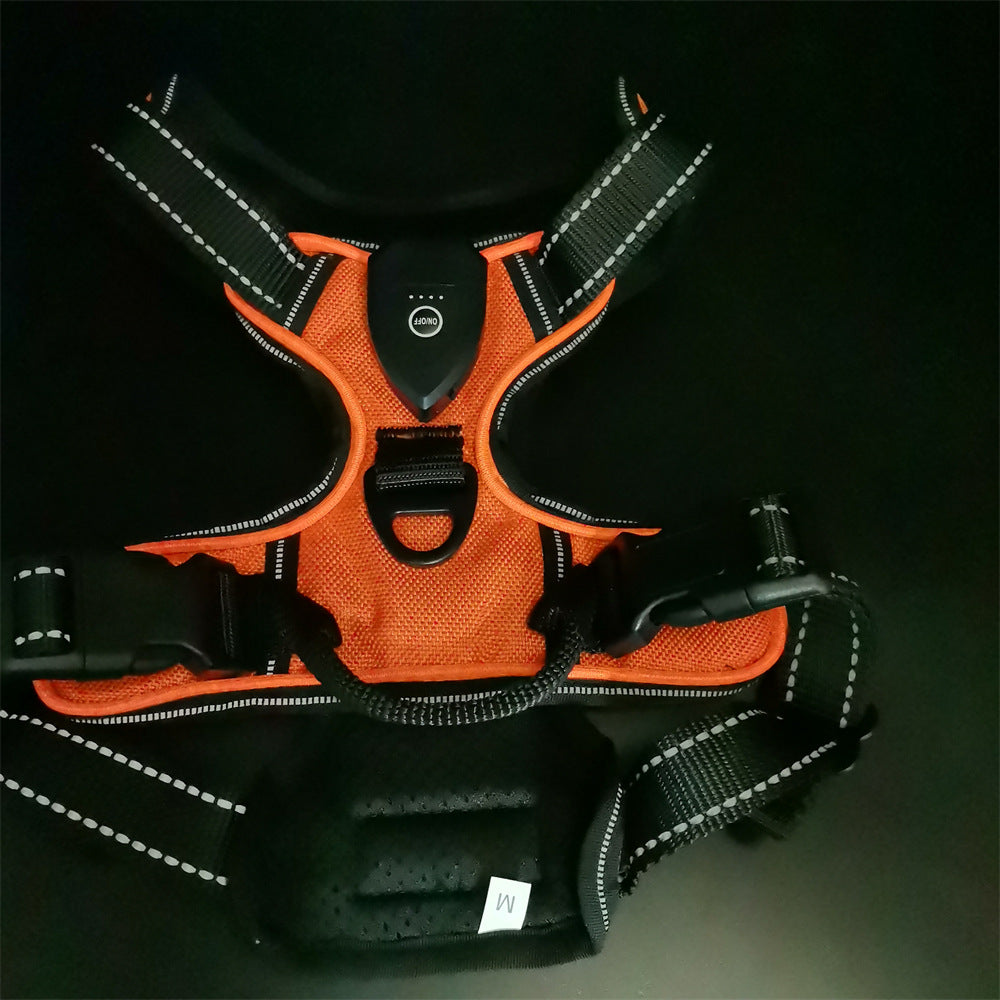 Orange and black dog harness on a dark background