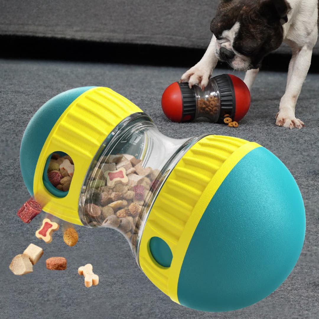Pet toy with a transparent centre filled with treats, next to a dog interacting with it.