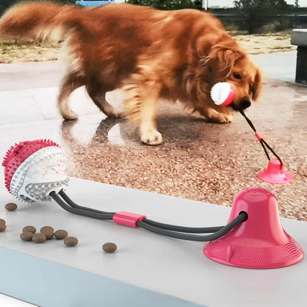 Dog playing with a pink and black toy on a concrete surface.