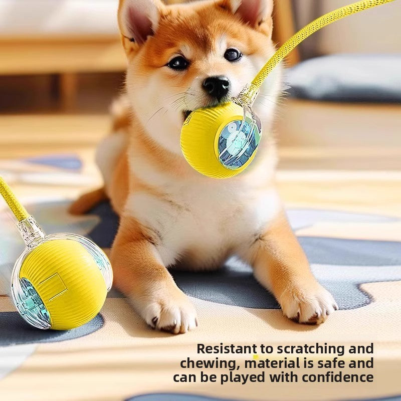 Dog playing with a yellow ball on a wooden floor