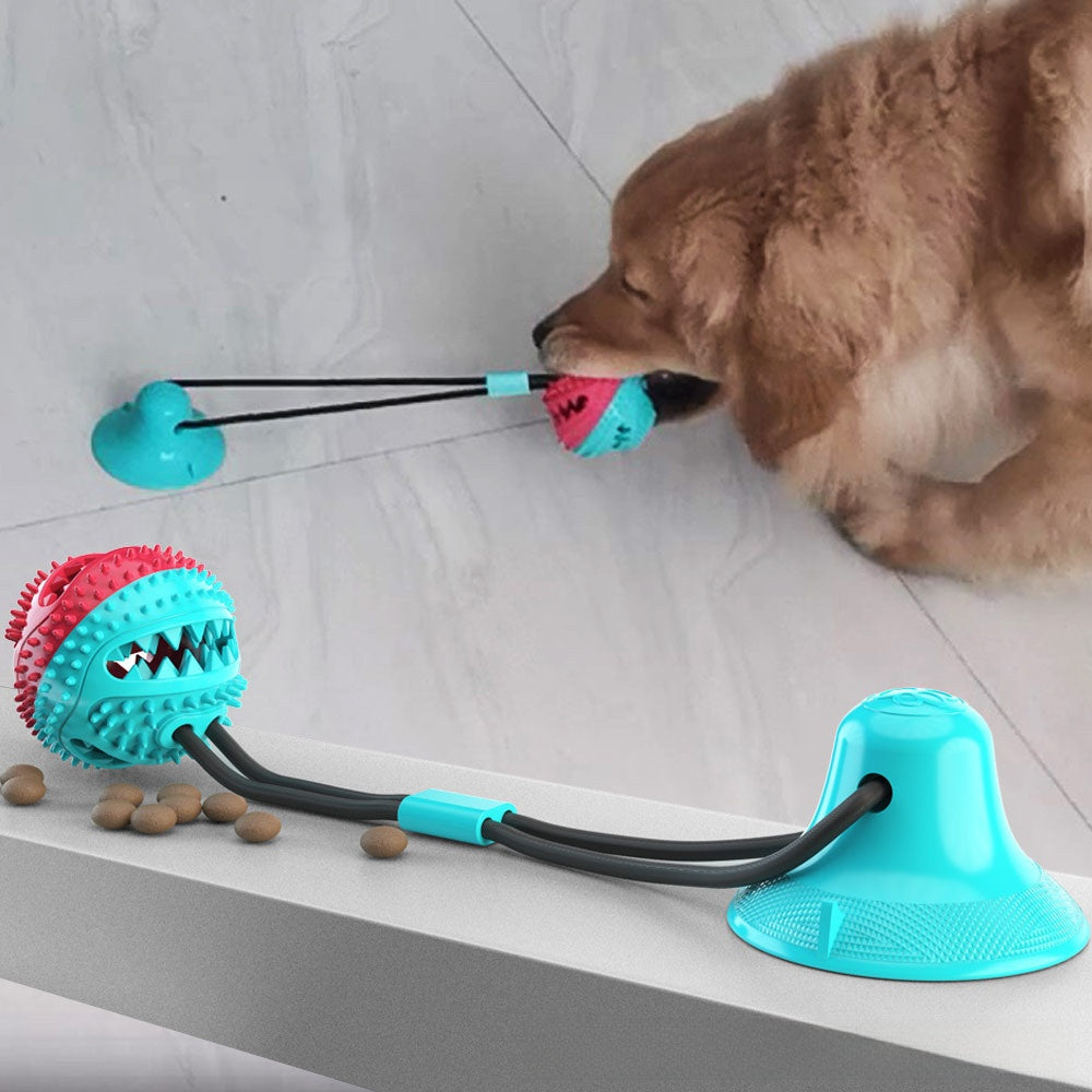 Dog playing with a blue and pink dog toy on a tiled floor.
