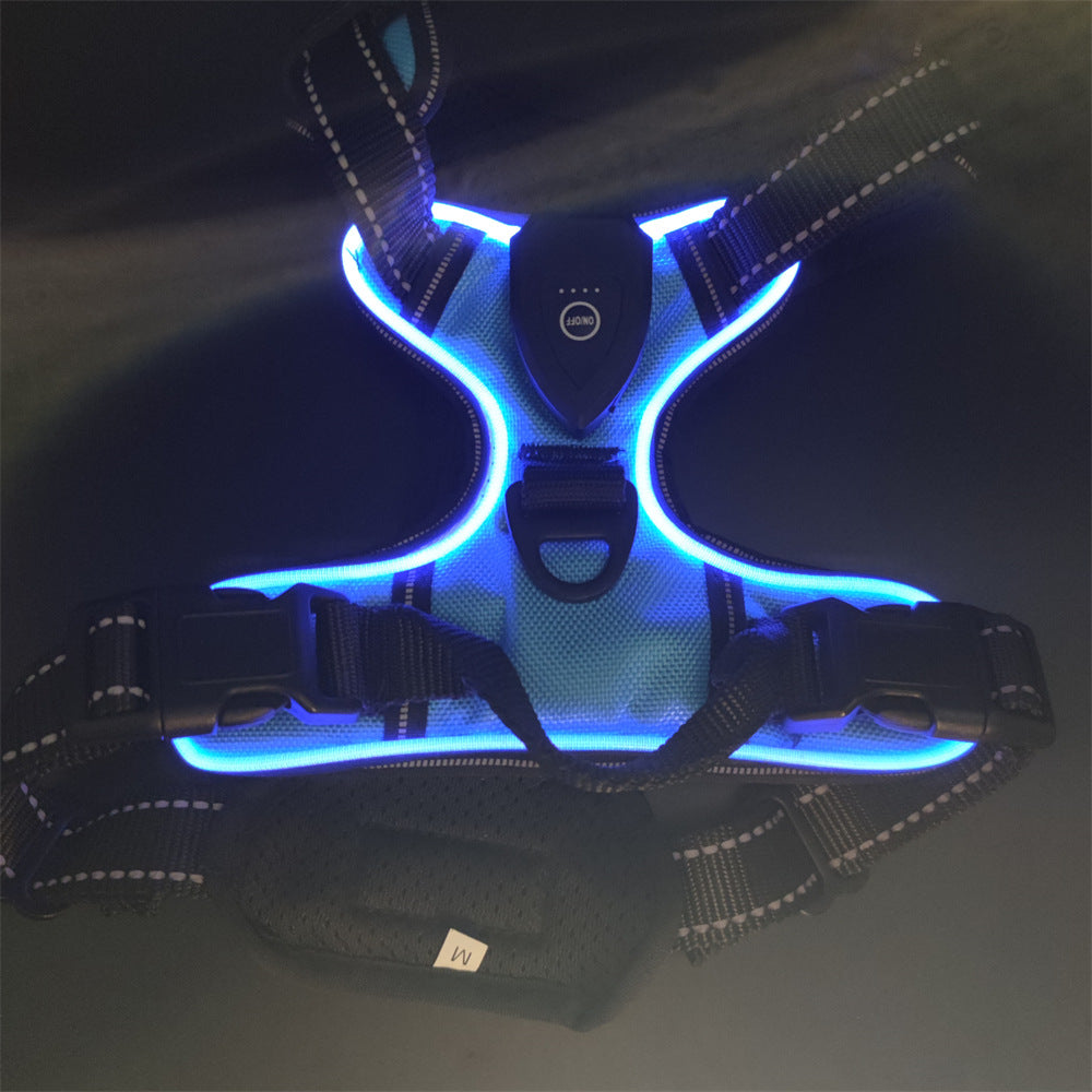 Blue LED dog harness on a dark background
