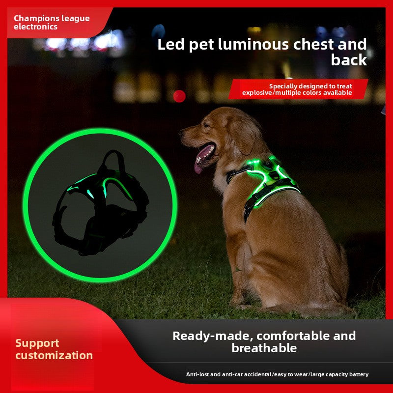 Luminous Dog Harness