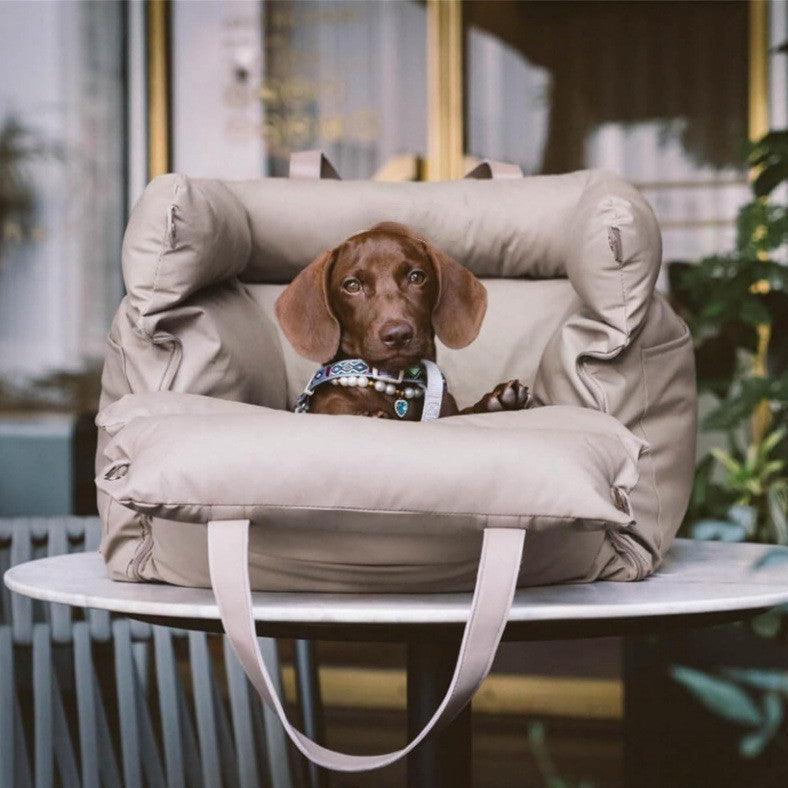 Dog sitting in a beige armchair on a table outdoors