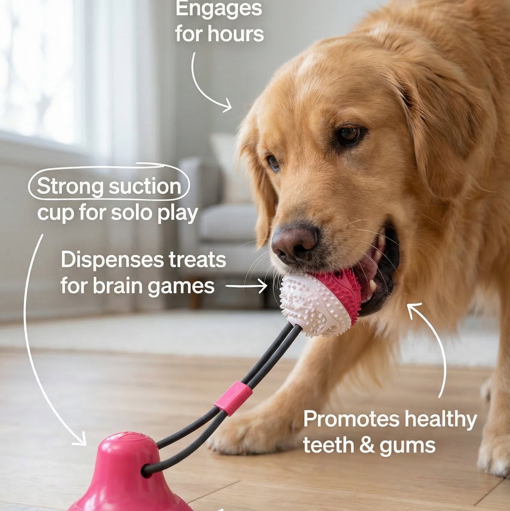 Treat-Storing Chew Toy
