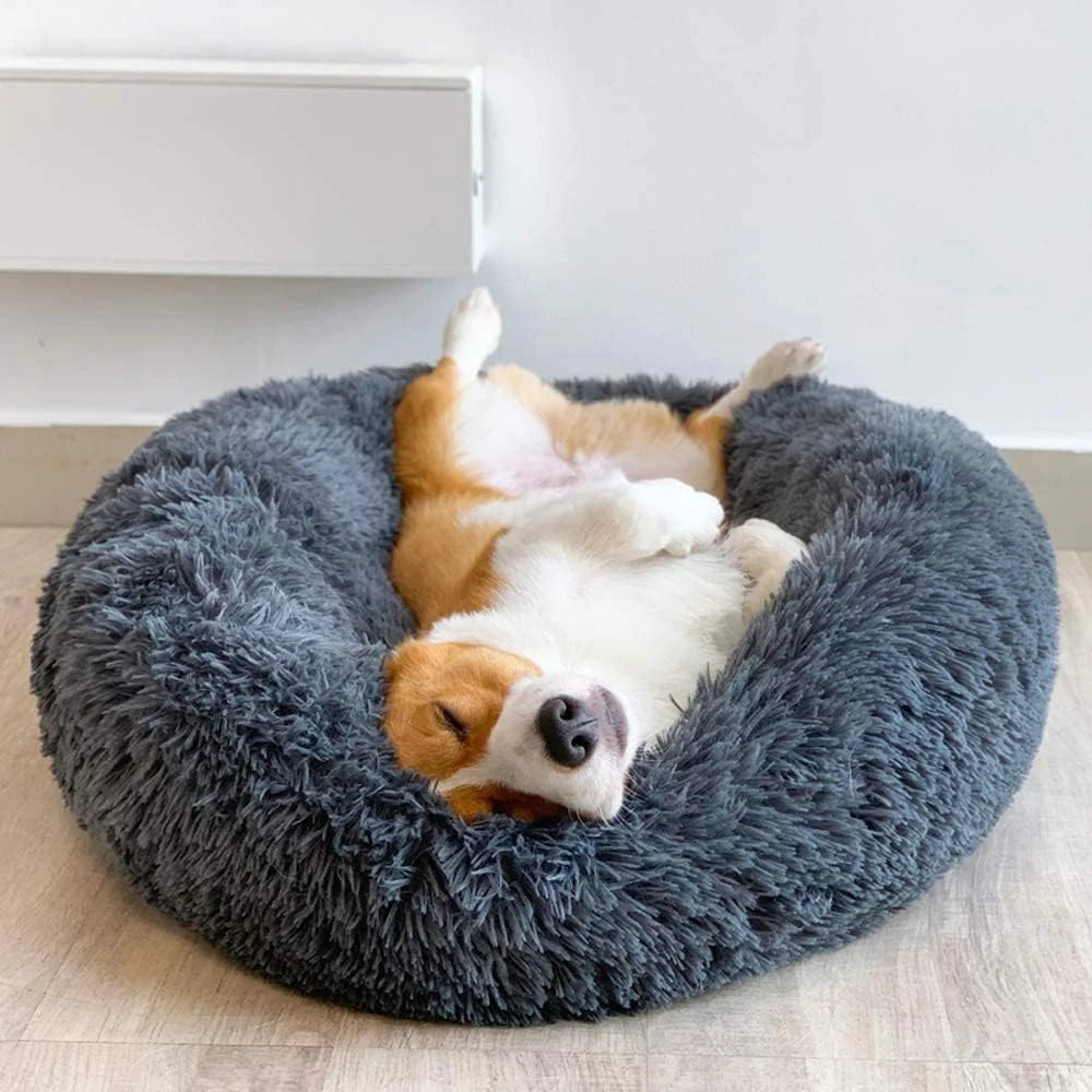 Dog lying on a fluffy grey pet bed in a home setting