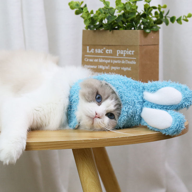 Cat wearing a blue fuzzy hat on a wooden table with a plant in the background
