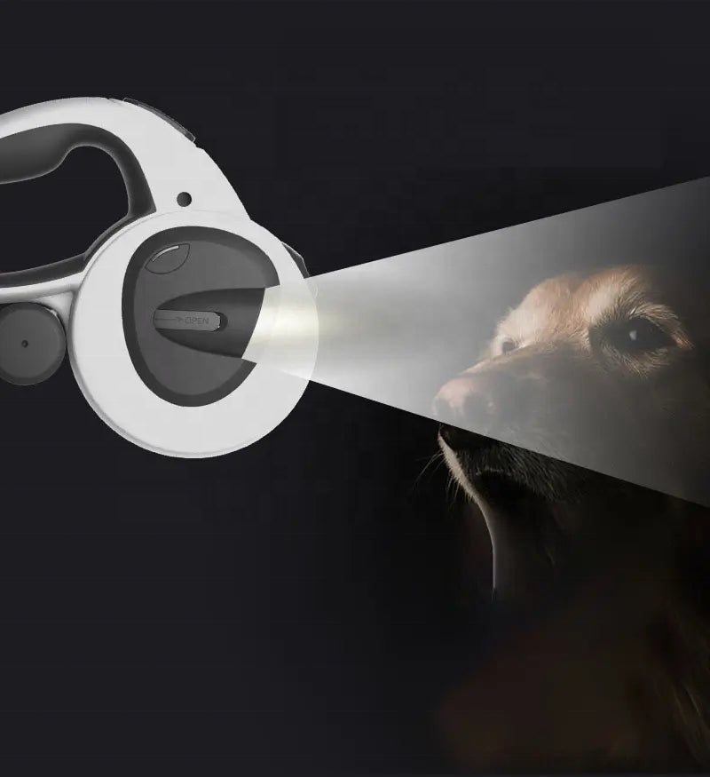 Pet toy with a light beam shining onto a dog's face against a dark background