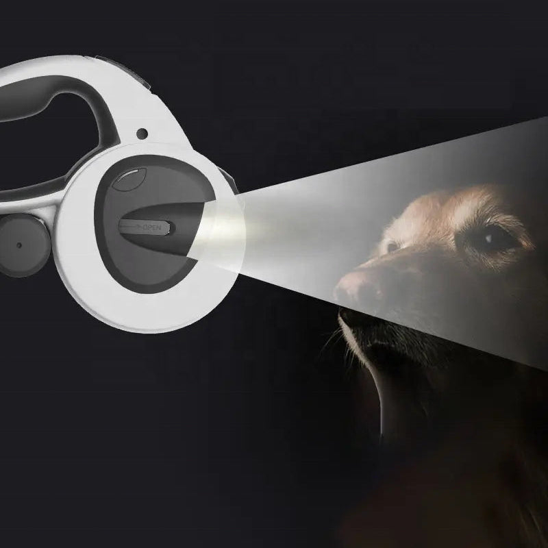 Dog lead with a light beam shining onto a dog's face against a dark background