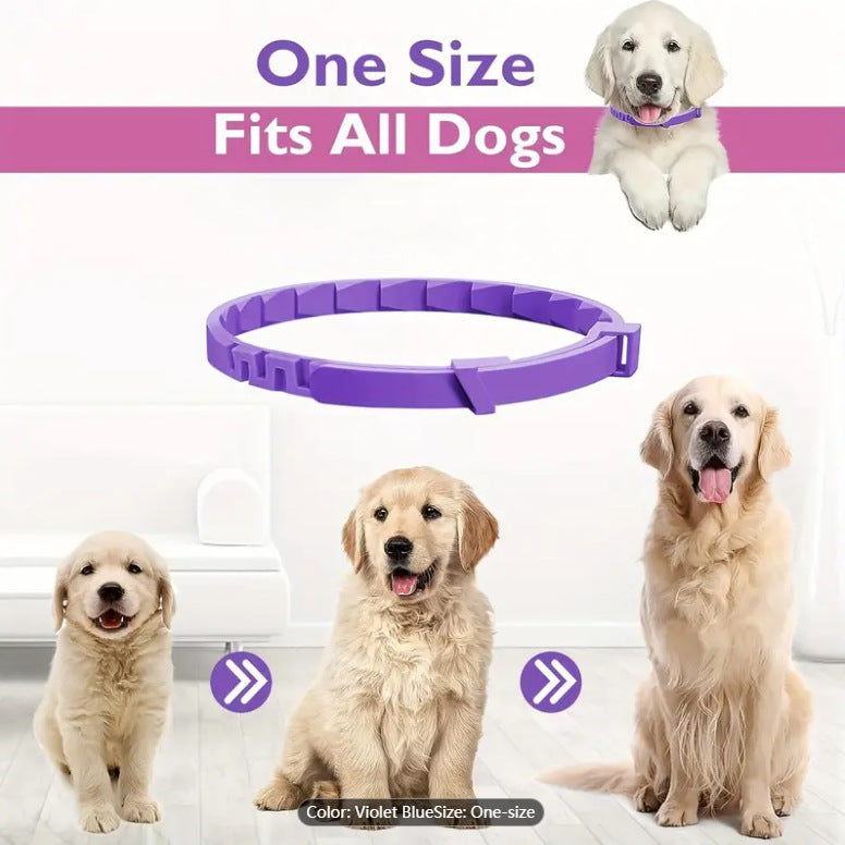 Purple calming dog collar with text 'One Size Fits All Dogs' and images of dogs wearing it.