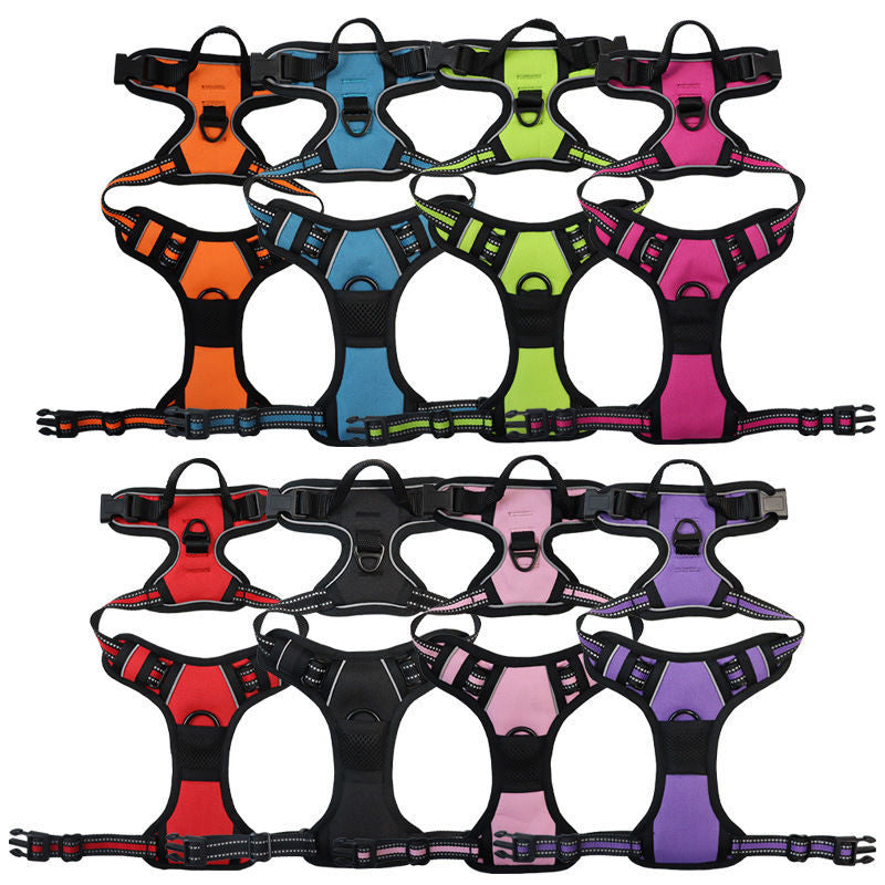 Collection of colorful dog harnesses arranged in a grid on a white background