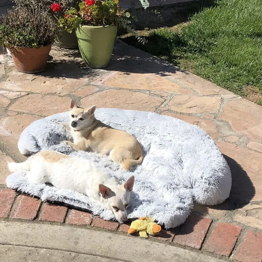 Two dogs on a fluffy white pet bed outdoors with plants in the background