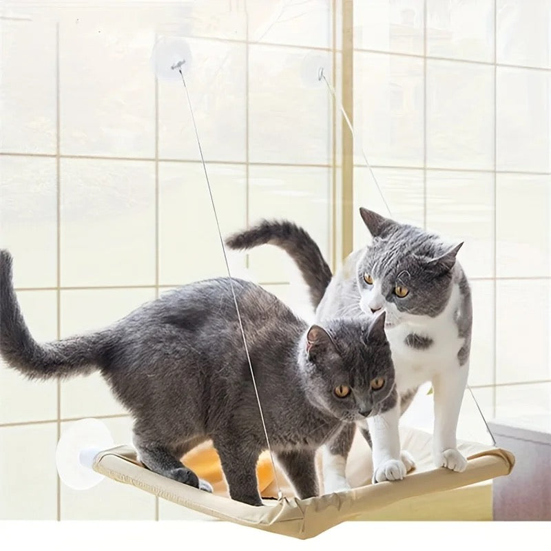Two cats on a cat shelf with a tiled wall background