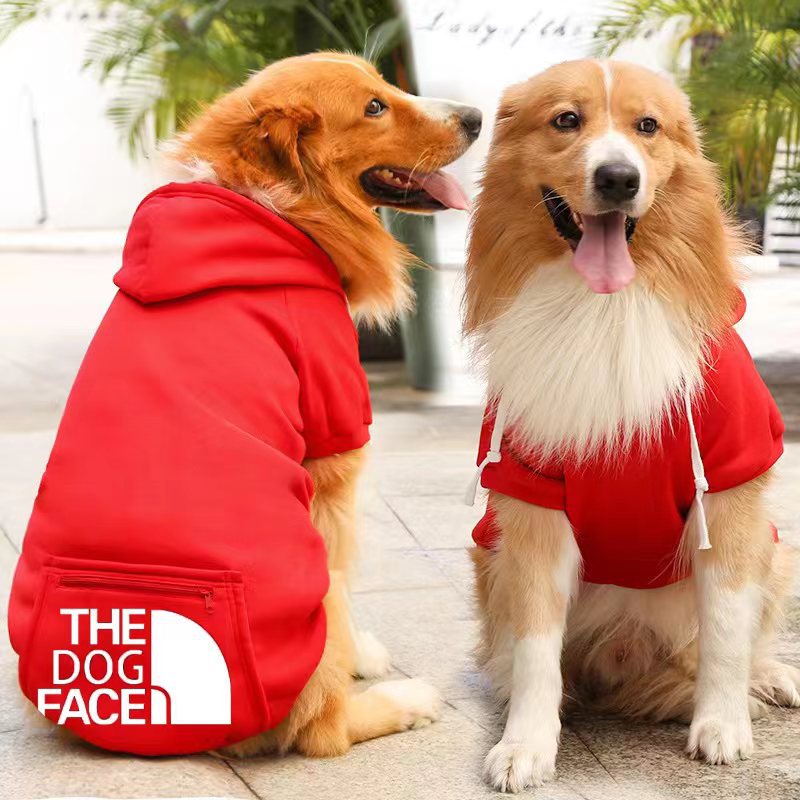 Two dogs wearing red hoodies with 'The Dog Face' logo indoors.