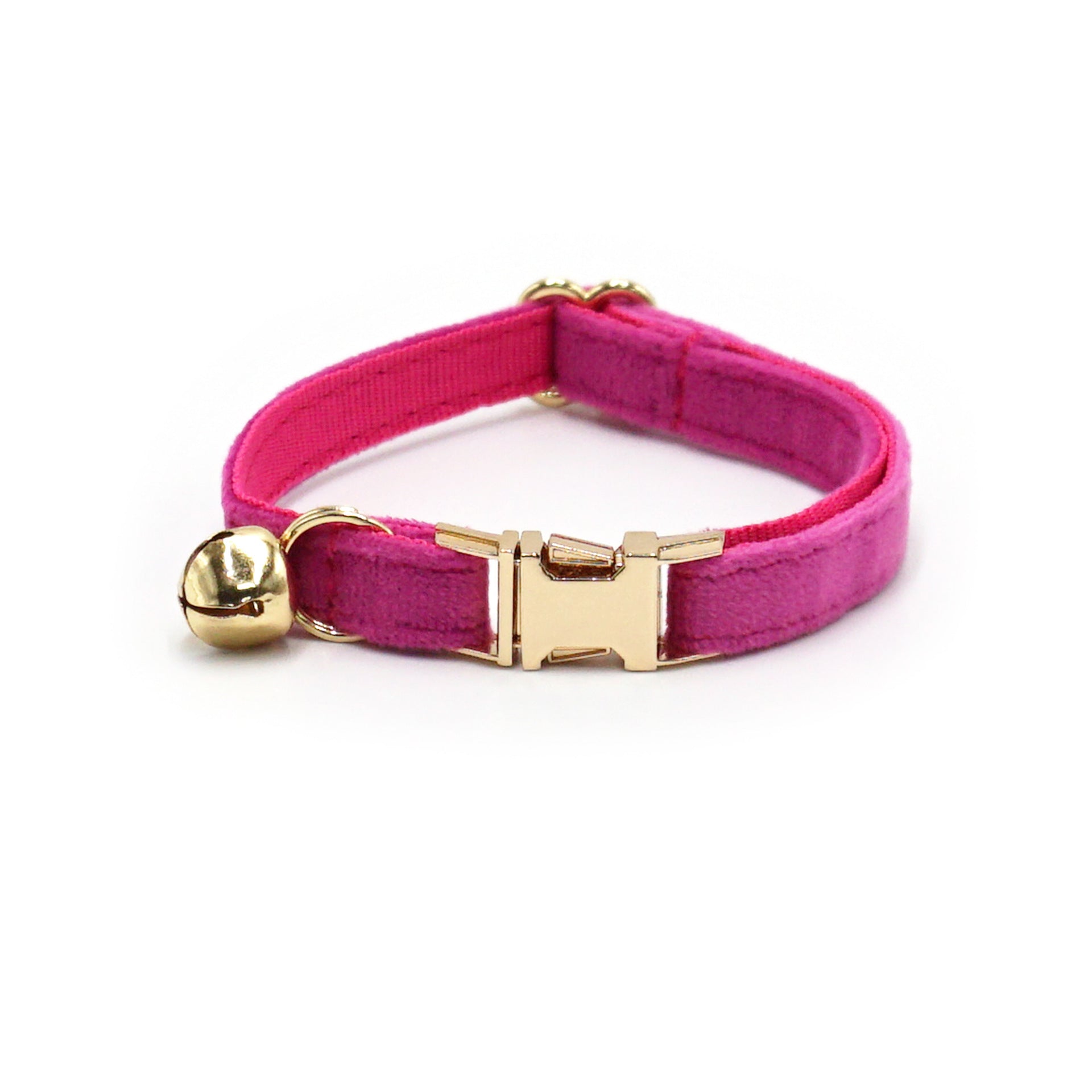 Pink dog collar with gold buckle and bell on a white background