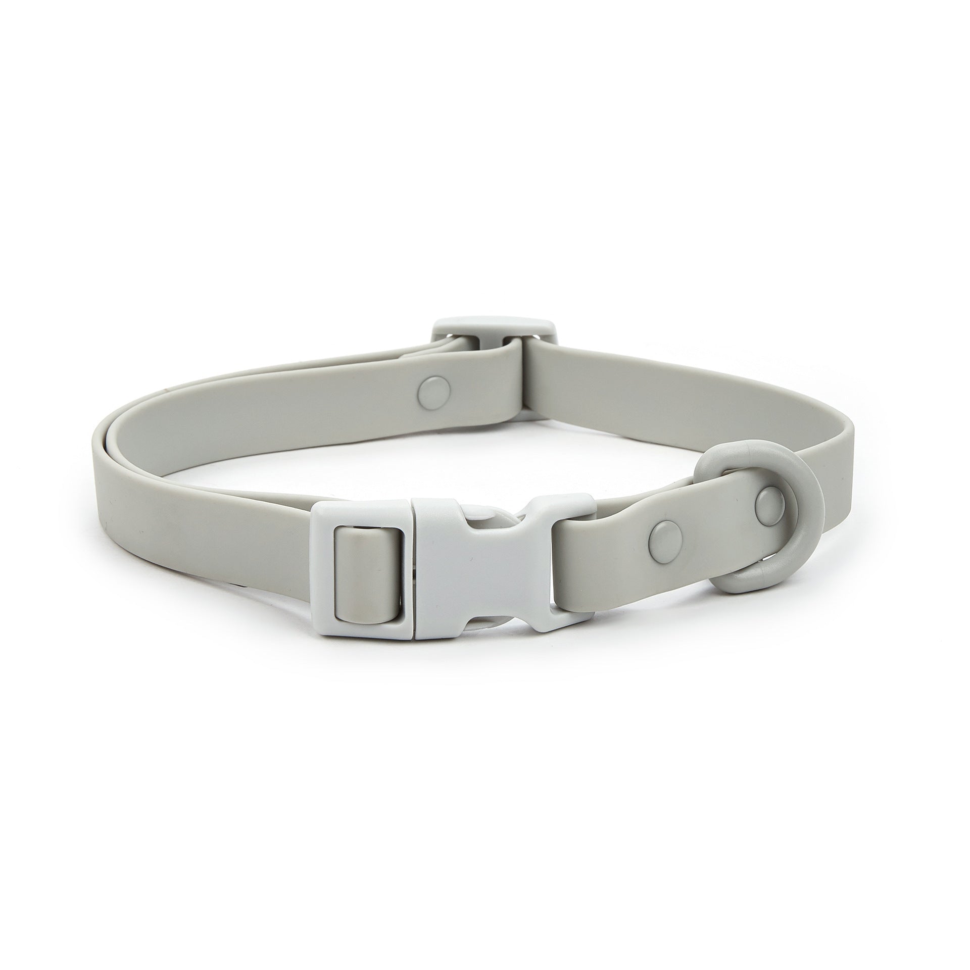 Gray dog collar with a buckle on a white background