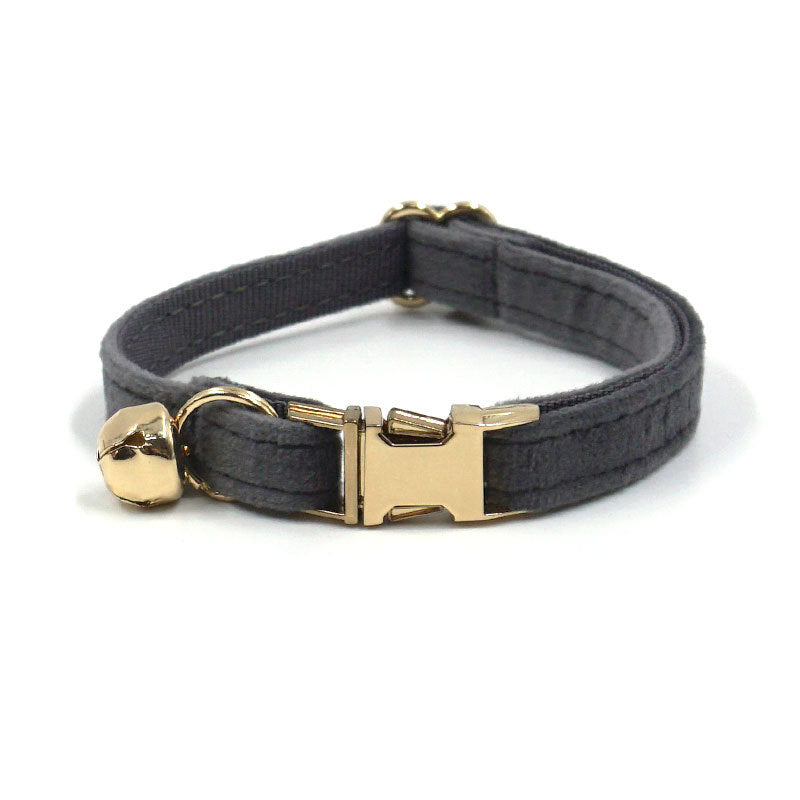 Black dog collar with gold buckle on a white background