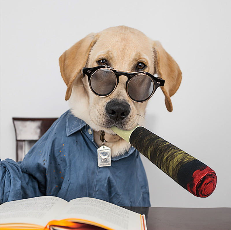 Dog wearing sunglasses and a blue shirt, holding a cigar plush toy, with an open book in front of it.