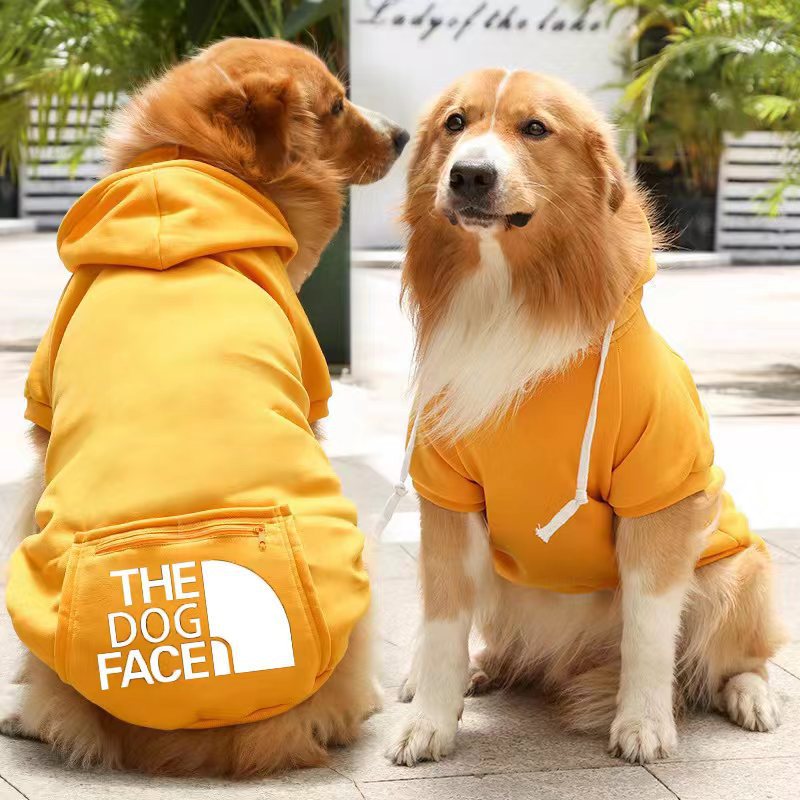 Two dogs wearing yellow hoodies with 'The Dog Face' logo indoors.