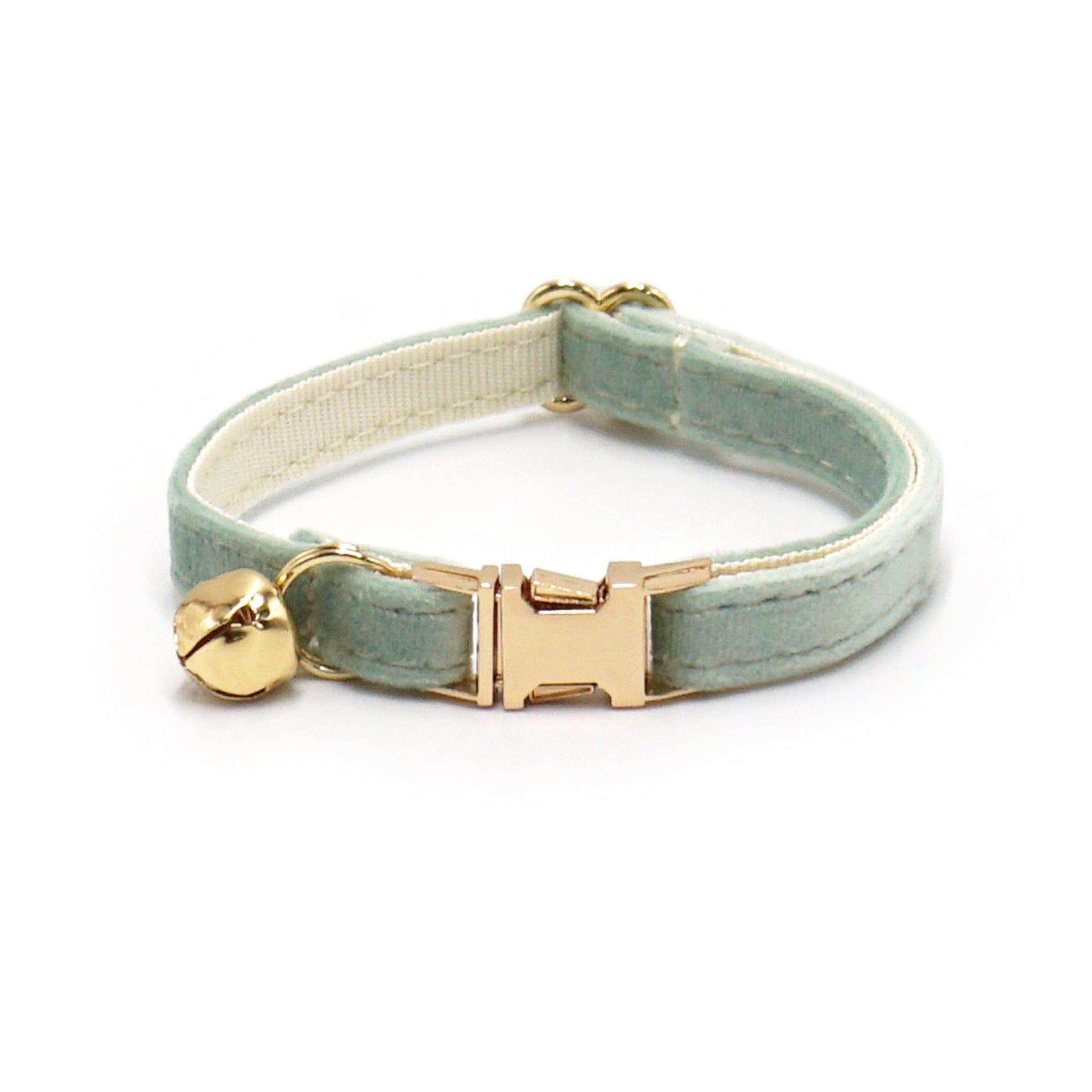 Cat collar with gold bell and clasp on a white background