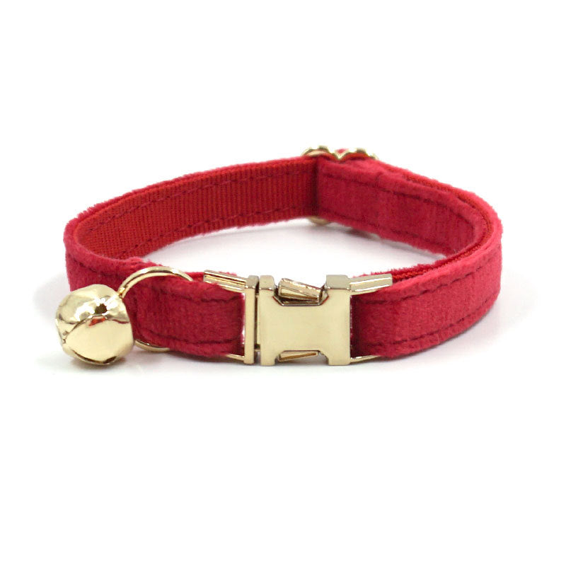 Red cat collar with gold buckle and bell on a white background