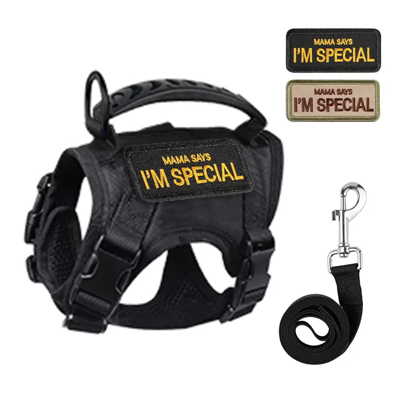 Black dog harness with 'Mama Says I'm Special' patches and a leash on a white background