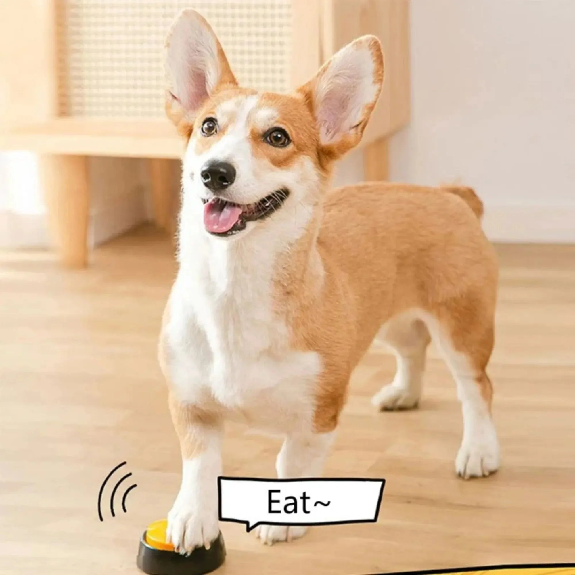 Dog standing on a wooden floor with a toy labeled 'Eat~'