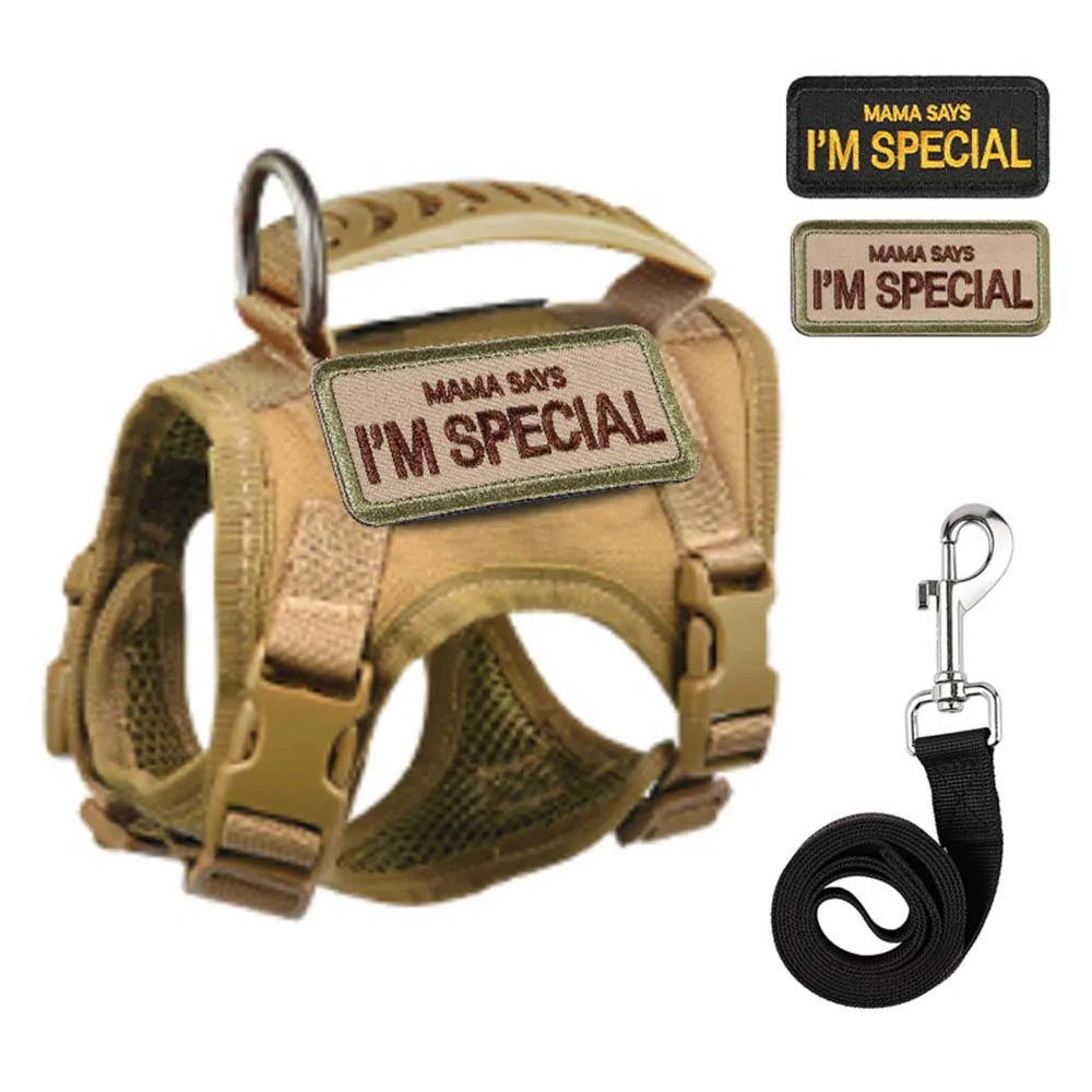 Tan dog harness with 'Mama Says I'm Special' patches and a black leash on a white background