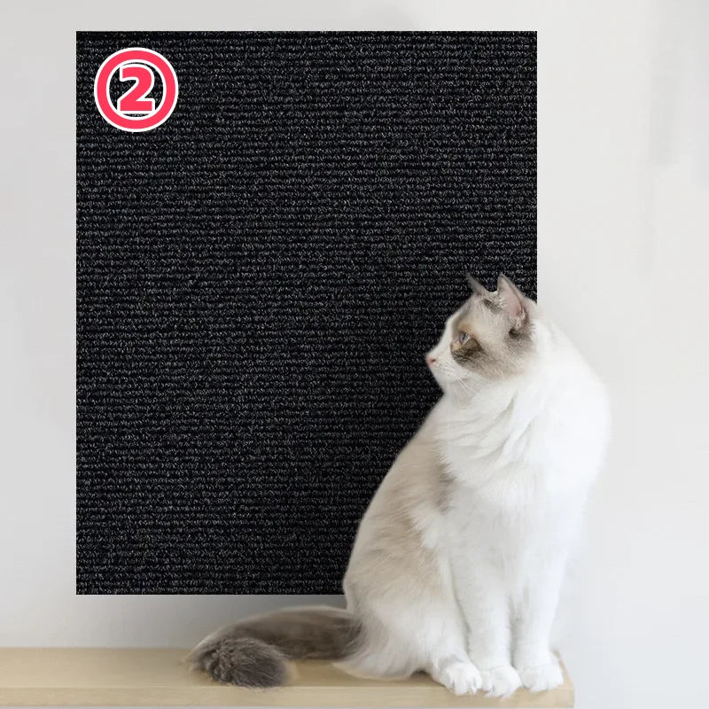 Cat sitting on a wooden platform next to a black textured wall with a red circle and number two.
