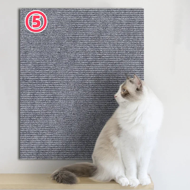 Cat sitting on a wooden surface next to a textured gray wall panel with a number 5 logo.