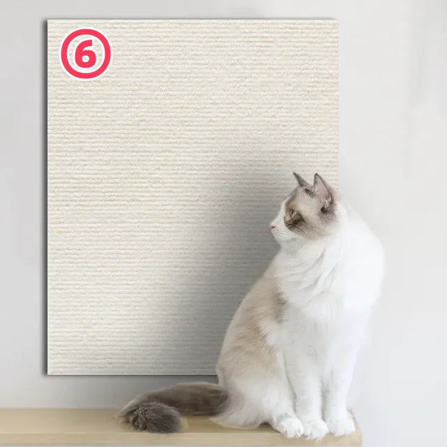 Cat sitting on a wooden surface next to a textured wall panel with a number 6 logo.