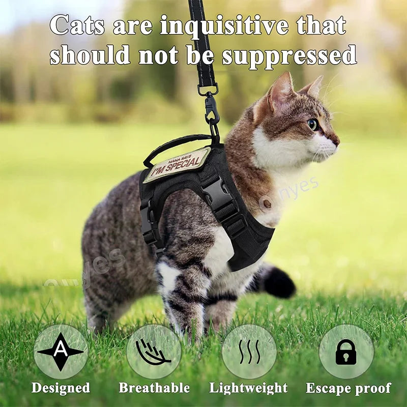 Cat wearing a harness with text 'Cats are inquisitive that should not be suppressed' on a grassy background.