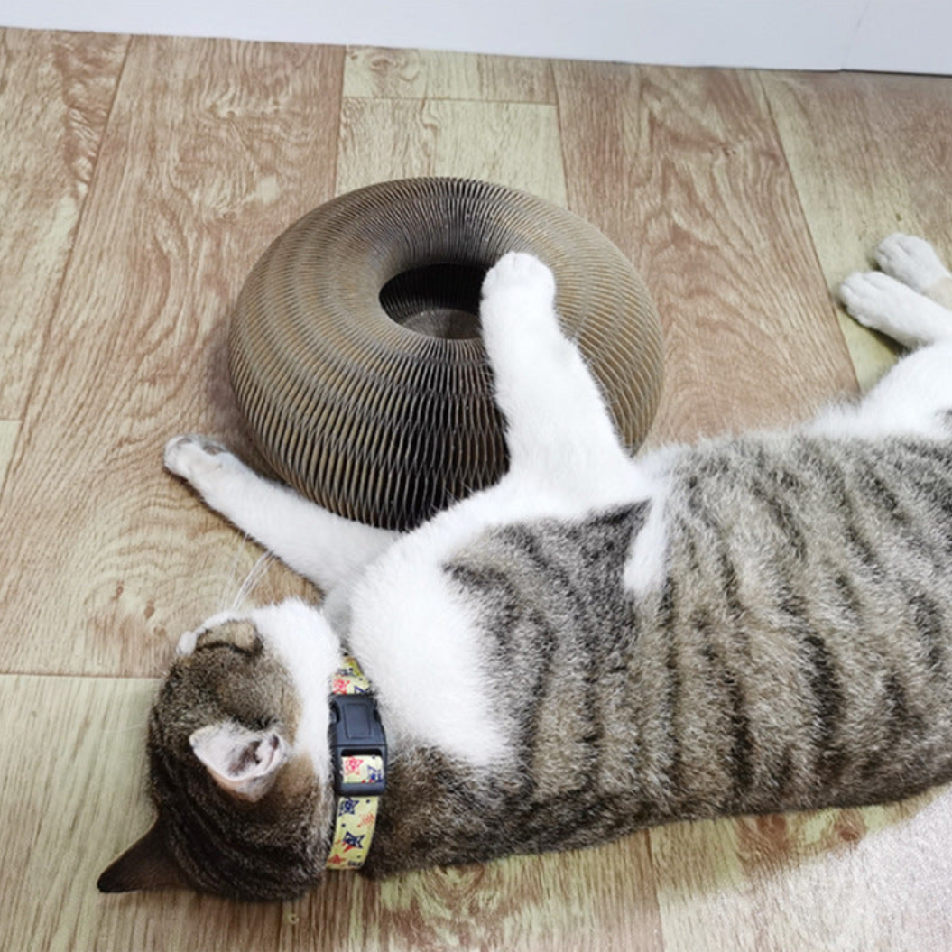 Cat lying on a wooden floor next to a corrugated cardboard cat toy.