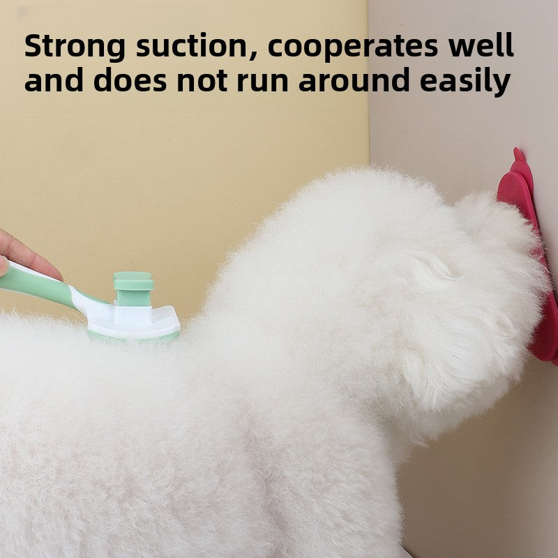 Dog being groomed with a brush, text about product features.