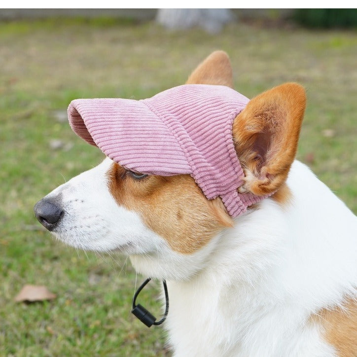 Dog wearing a pink knitted hat outdoors on a grassy background