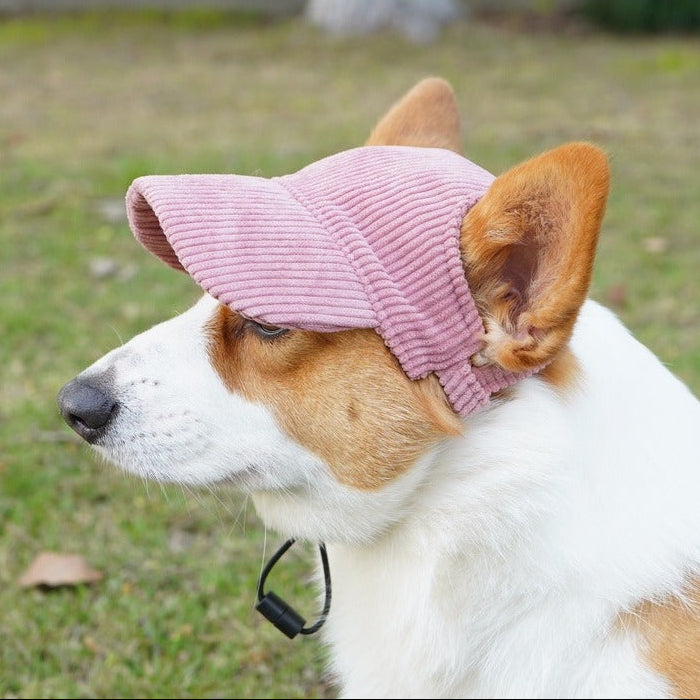 Dog wearing a pink knitted hat outdoors on a grassy background