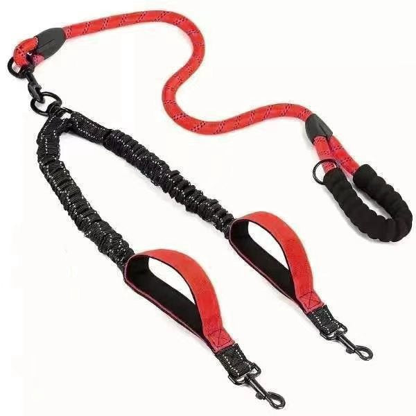 Dog Leash