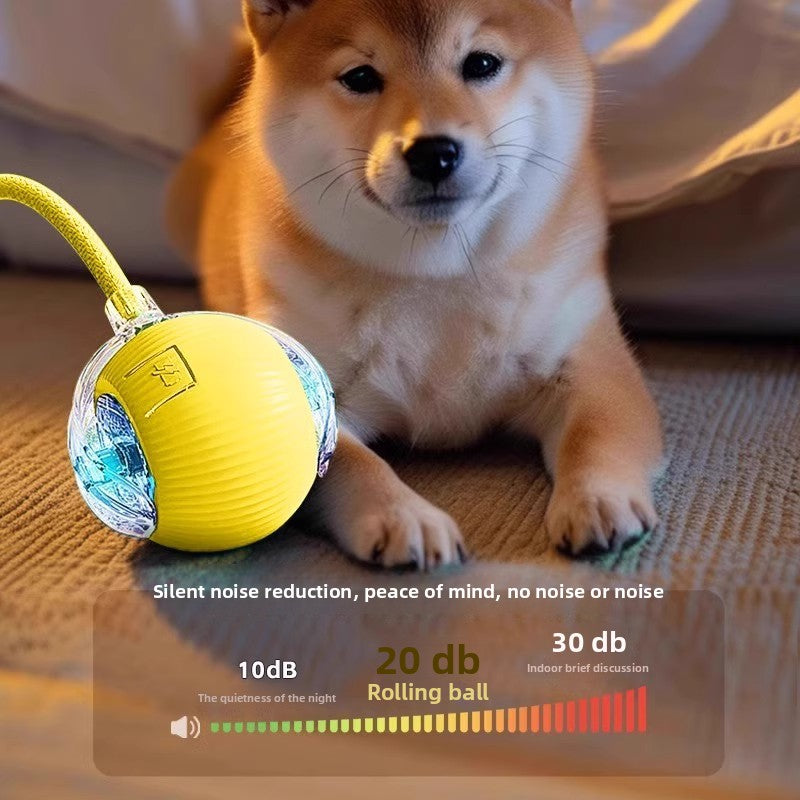 Dog playing with a yellow and blue ball on a carpeted floor.