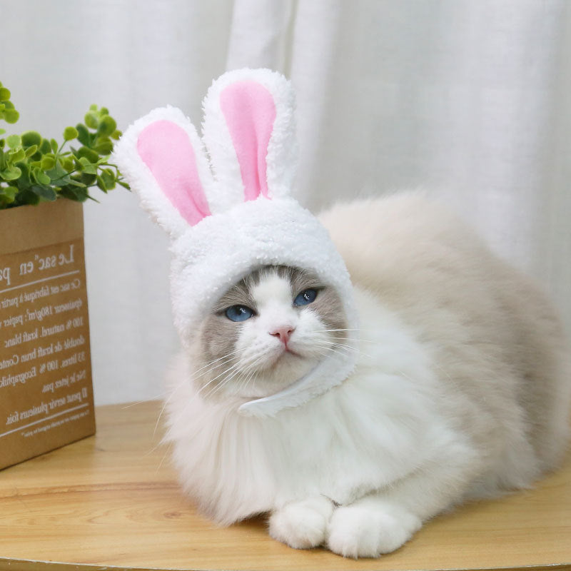 Cat wearing a bunny costume with pink ears on a wooden surface.