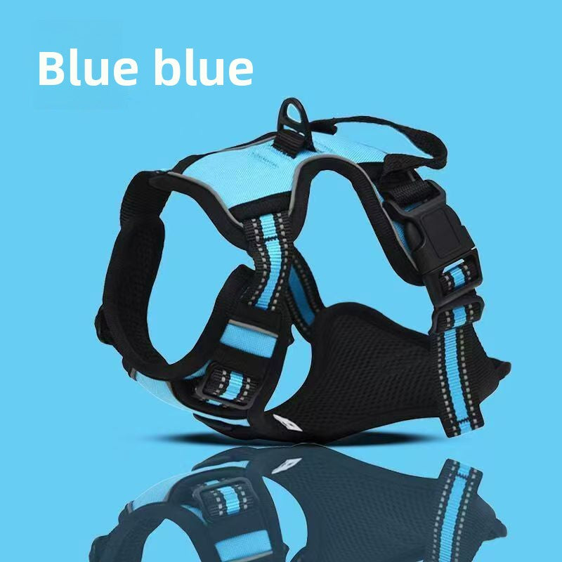 Black dog harness with blue accents on a blue background
