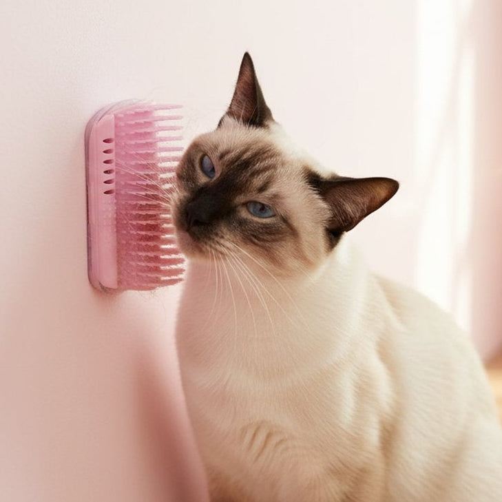 Cat using a pink pet grooming brush against a light pink wall.