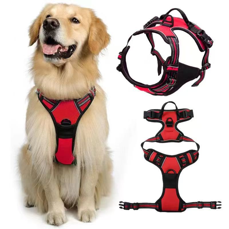 Dog wearing a red and black harness with inset images of the harness design.