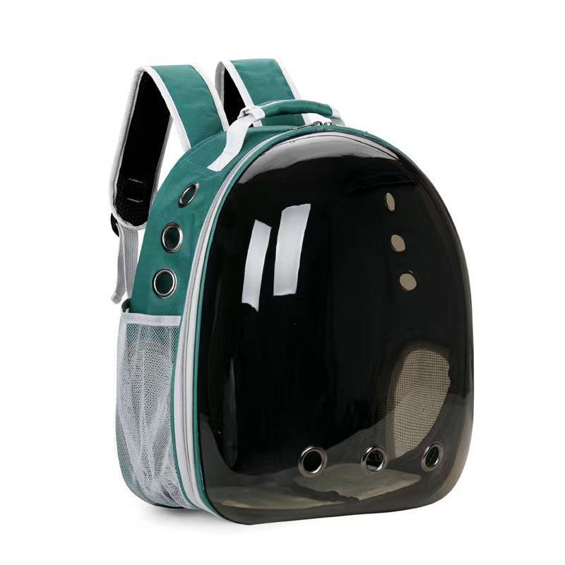 Pet backpack with transparent shell and teal straps on a white background