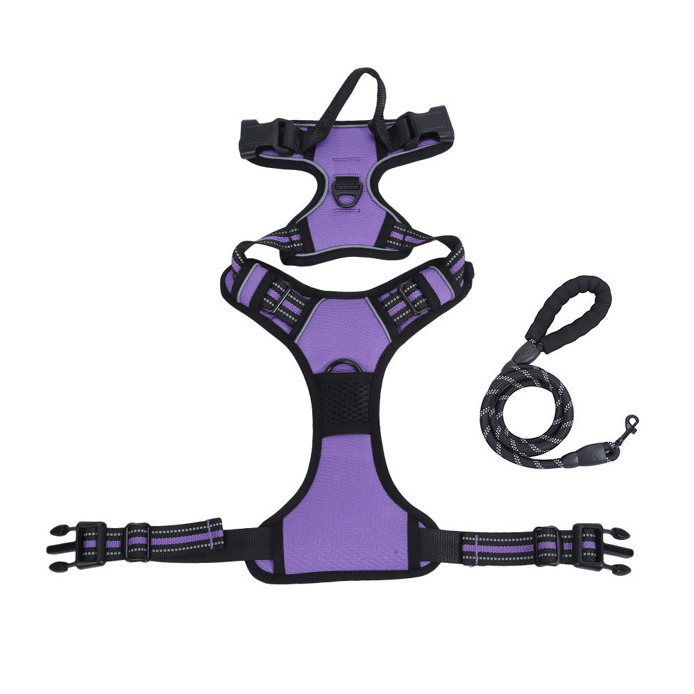 Purple dog harness and leash set on a white background