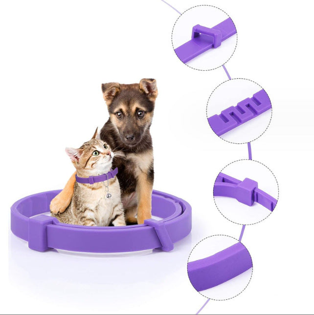 Purple calming poet collar with a dog and cat inside, surrounded by close-up details on a white background.