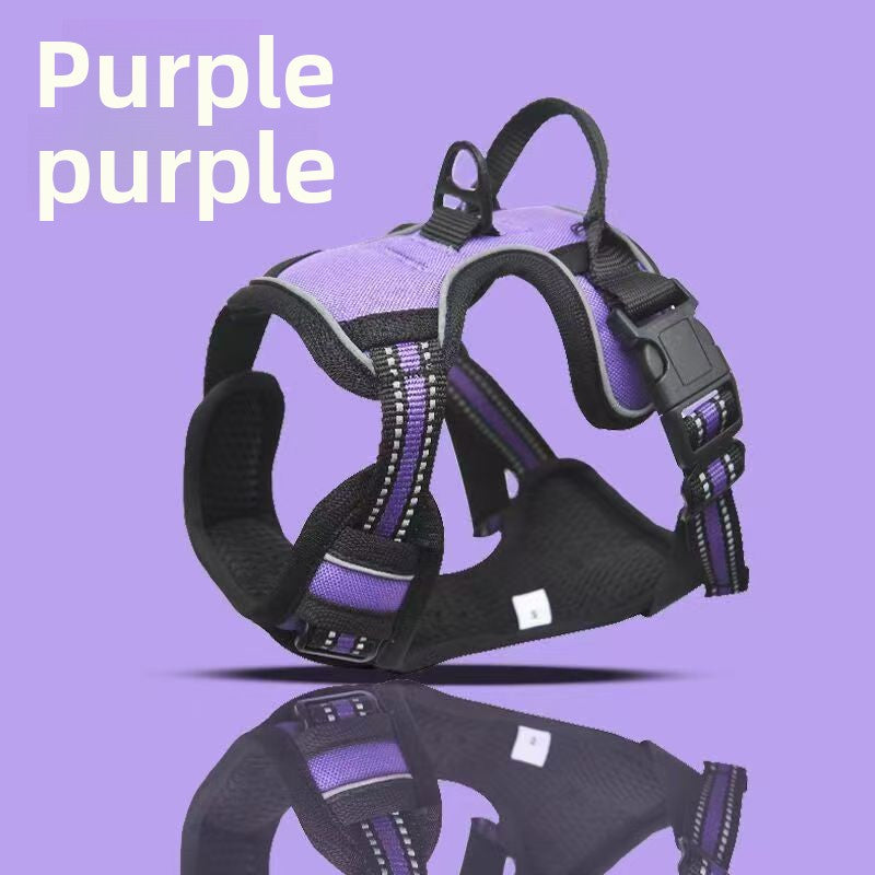 Black and purple dog harness on a purple background with 'Purple' text.