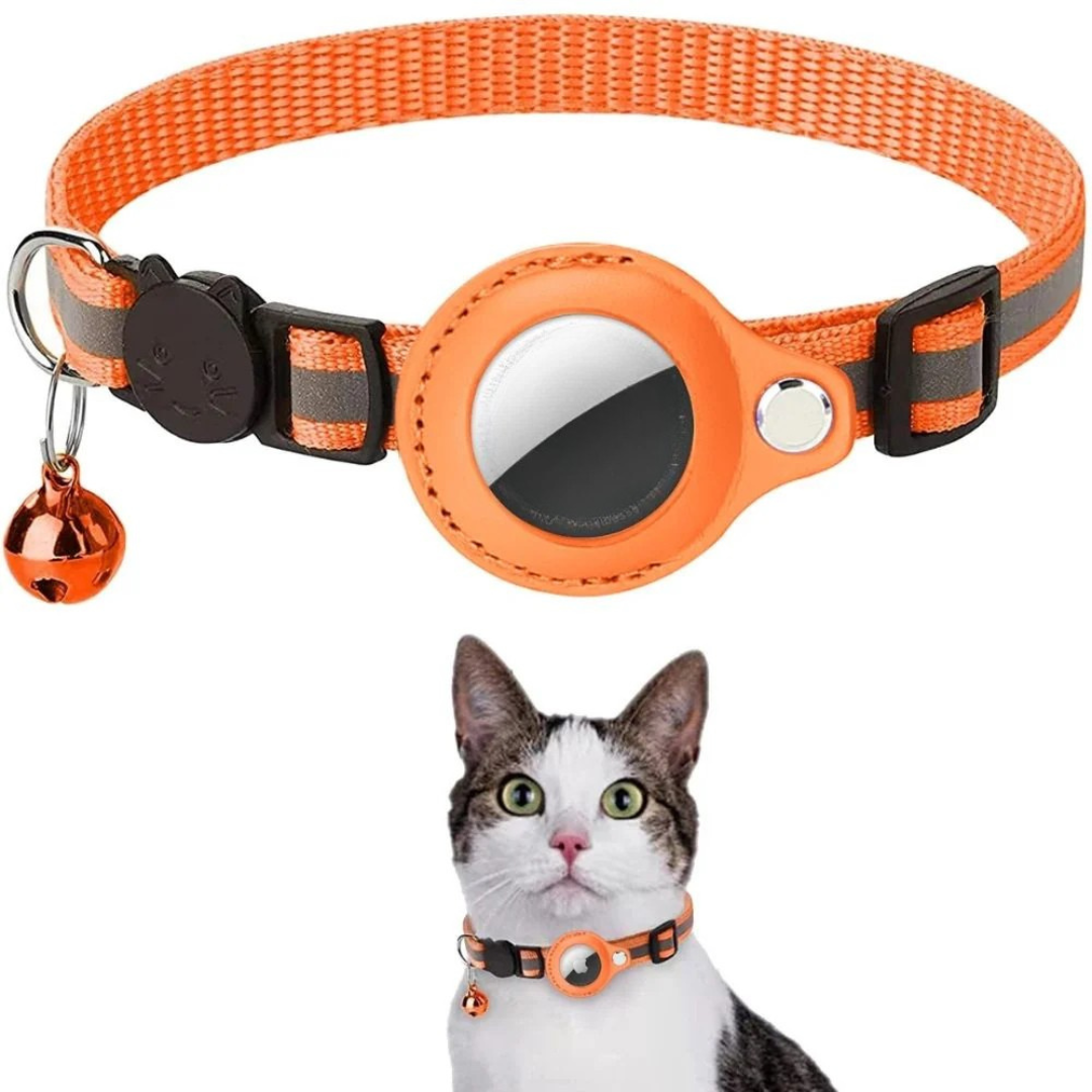Orange cat collar with reflective material and bell, worn by a cat on a white background