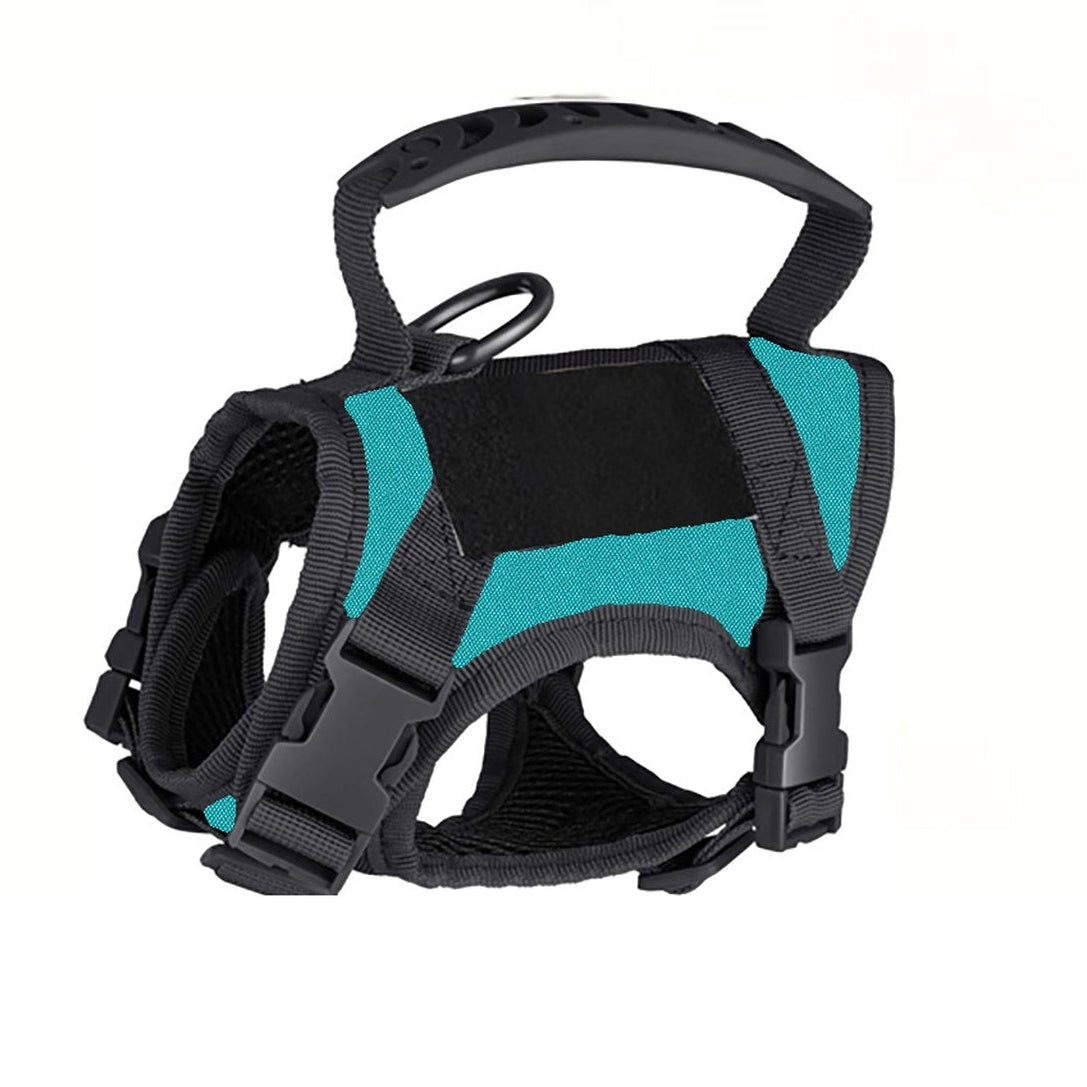 Black and teal dog harness on a white background